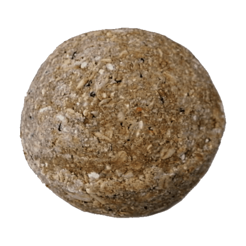 Riesenmeisenknödel Frucht und Insekt