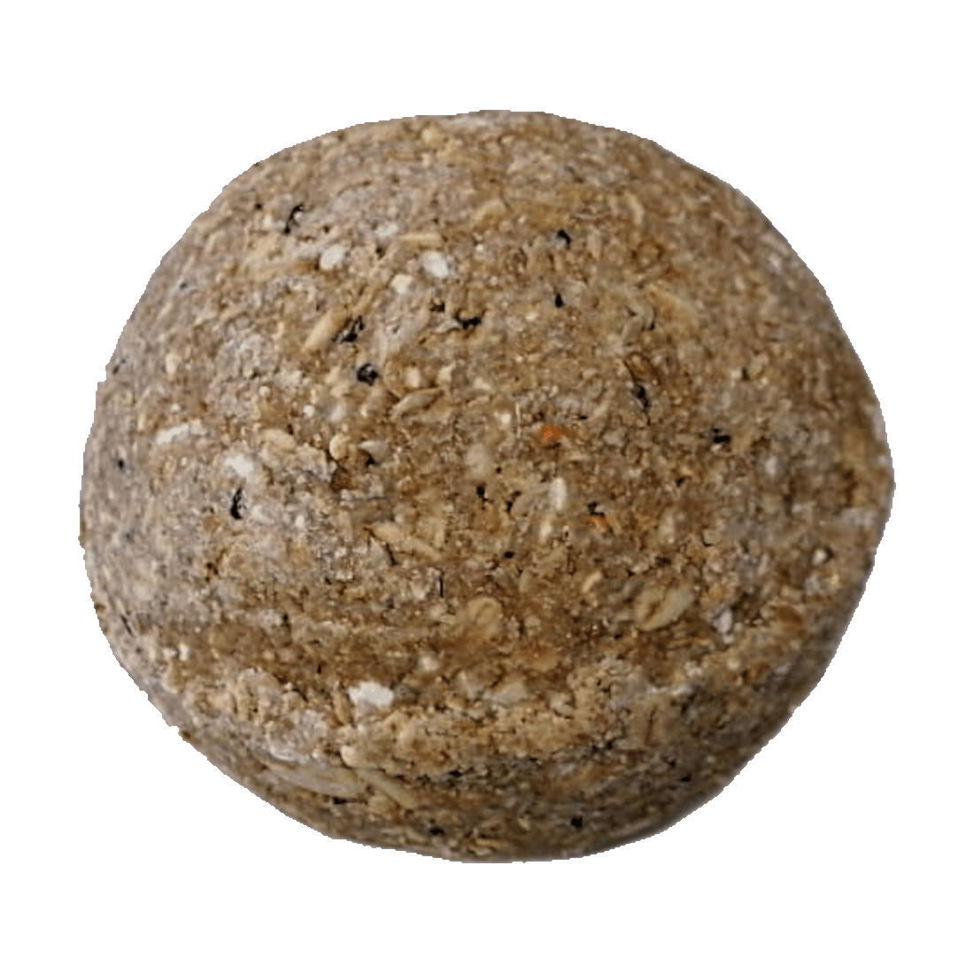 Riesenmeisenknödel Frucht und Insekt