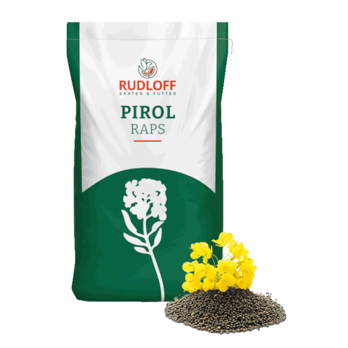 Rudloff Winterraps Saatraps PIROL