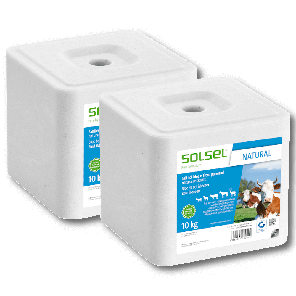 Salzleckstein Natural