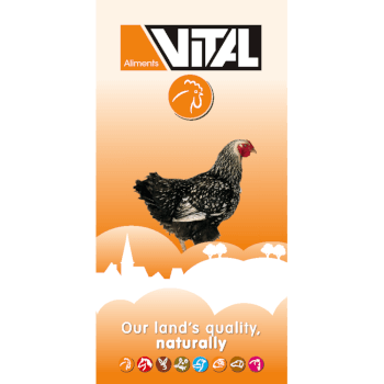 Scar Vital Körnermischung C2 Universal