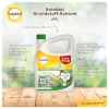 3 l