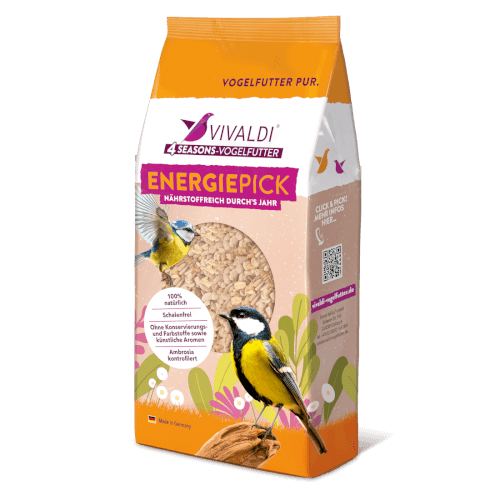 VIVALDI® Energiepick Müsli