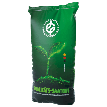 Wiesenschweidel (Festulolium) BETRIA ZS (BB)