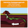 50 Stück