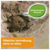 50 Stück