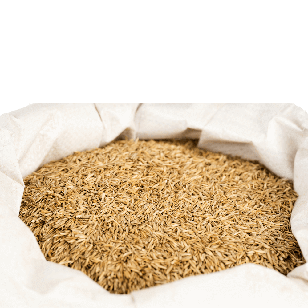 Agrarshop Dauerweide Nachsaat