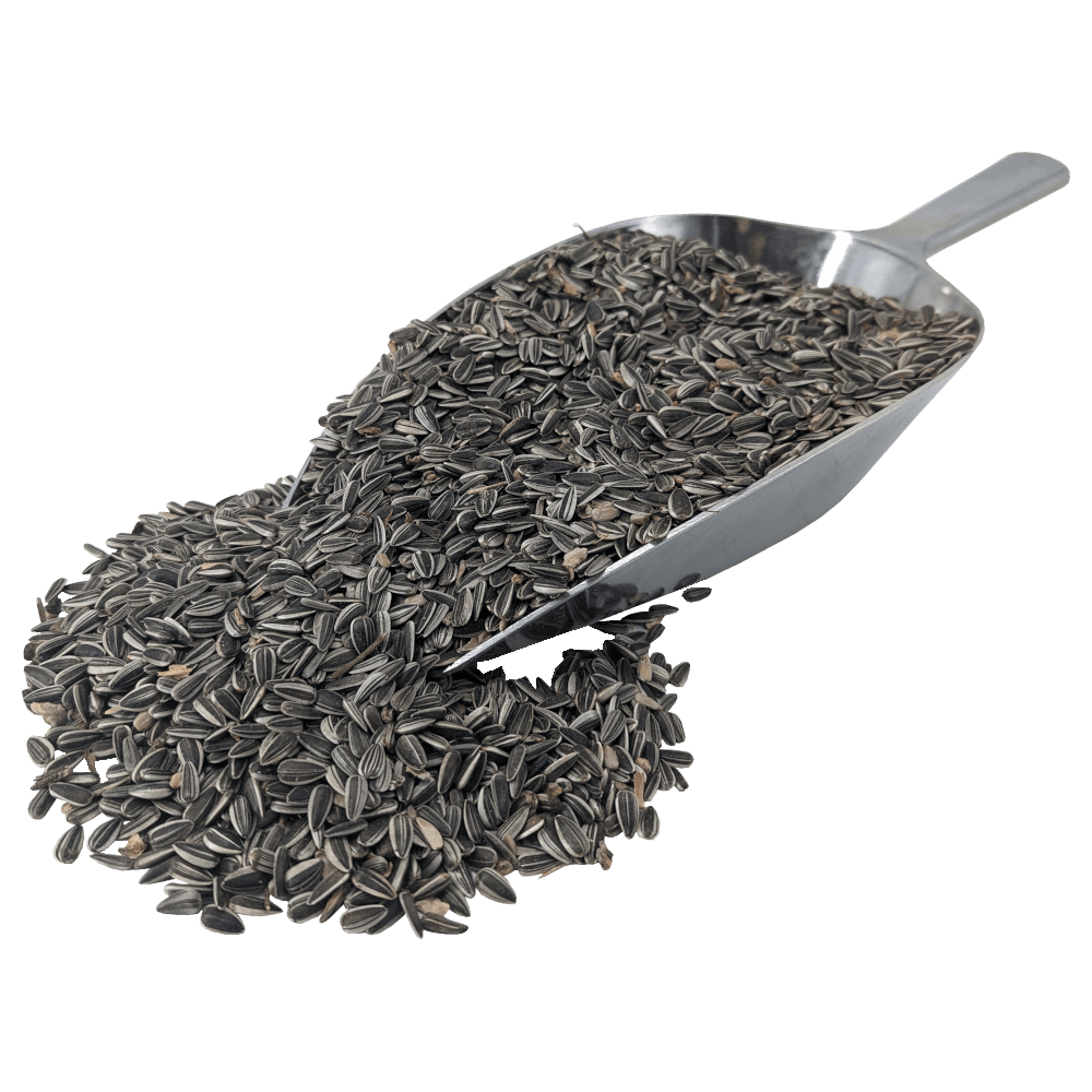 Agrarshop Gestreifte Sonnenblumenkerne - Vogelfutter