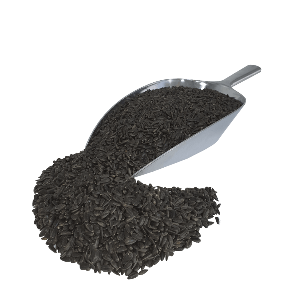 Agrarshop Sonnenblumenkerne schwarz