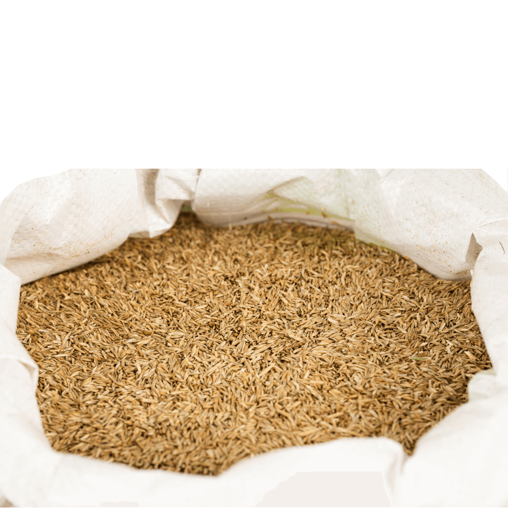 Agrarshop Spielrasen RSM 2.3