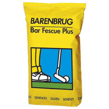 BARENBRUG Bar Fescue Plus