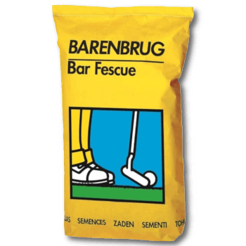 BARENBRUG Rasensamen Bar Fescue