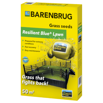 BARENBRUG Resilient Blue® Lawn