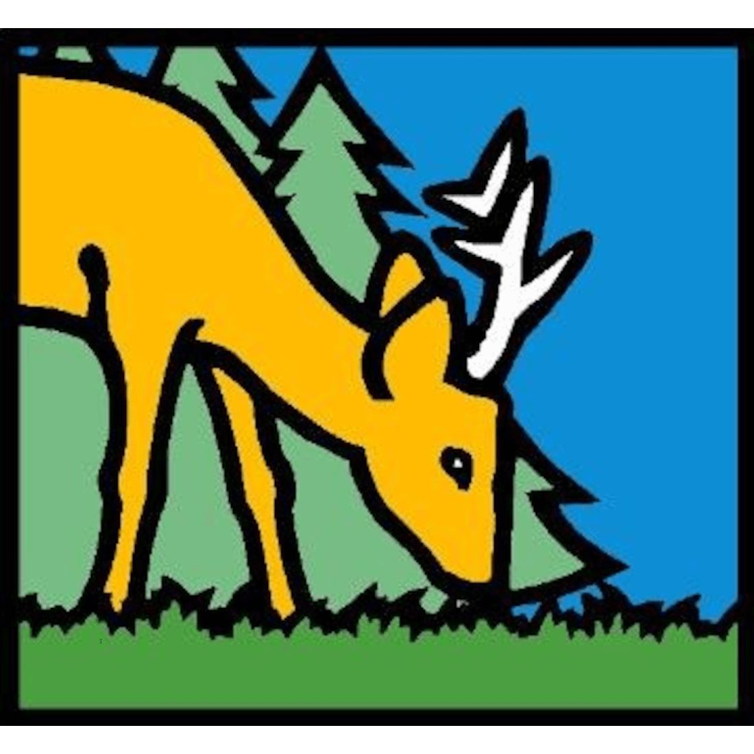 Barenbrug Wildackermischung einjährig