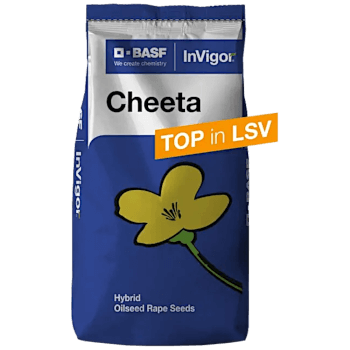 BASF® Winterraps Saatraps CHEETA