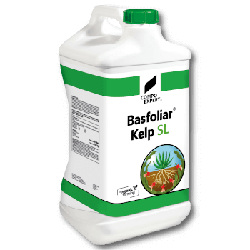 COMPO EXPERT® Basfoliar® Kelp SL