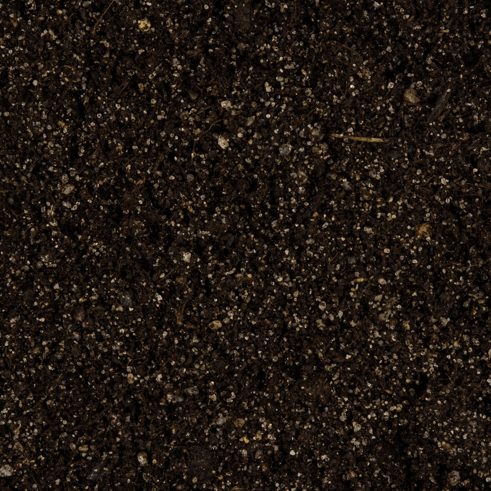 COMPO® Rasen Fit+ - 5in1 Keimsubstrat