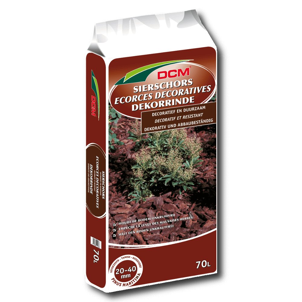 Cuxin Dekorrinde Pinie 20-40 mm