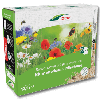 DCM Blumenwiesen-Mischung