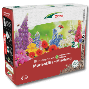 DCM Marienkäfer-Mischung