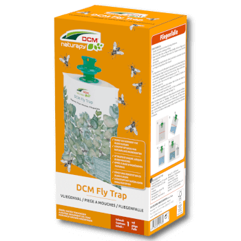 DCM Naturapy Fly Trap Fliegenfalle