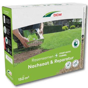 DCM Rasensamen Nachsaat & Reparatur