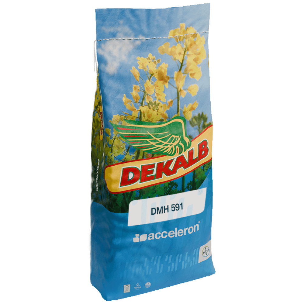 DEKALB® Winterraps Saatraps DMH 591