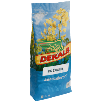 DEKALB® Winterraps Saatraps EXBURY