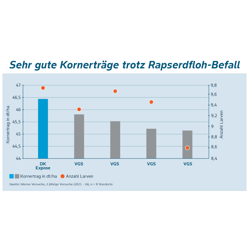 DEKALB® Winterraps Saatraps EXPOSE ACC PRECISION