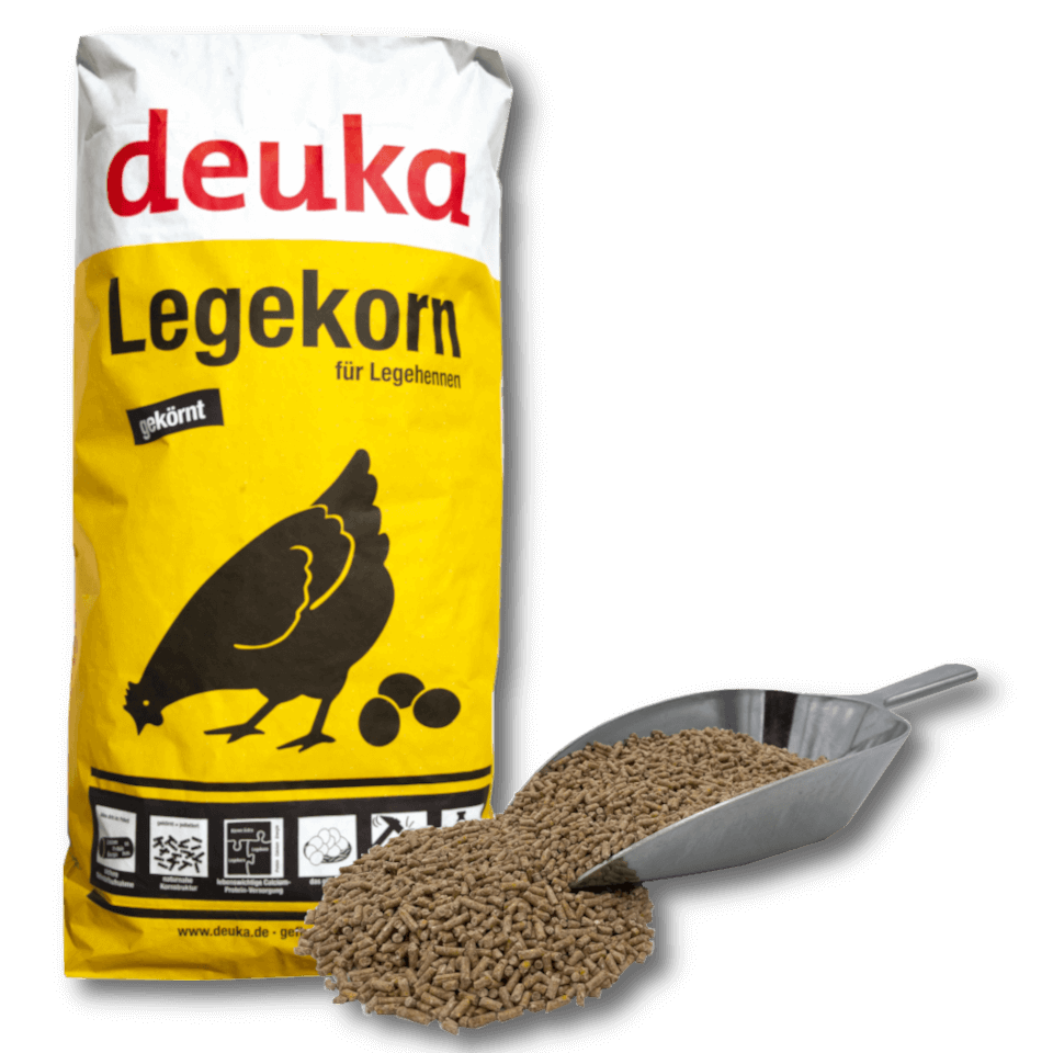 Farine de ponte Deuka en grains