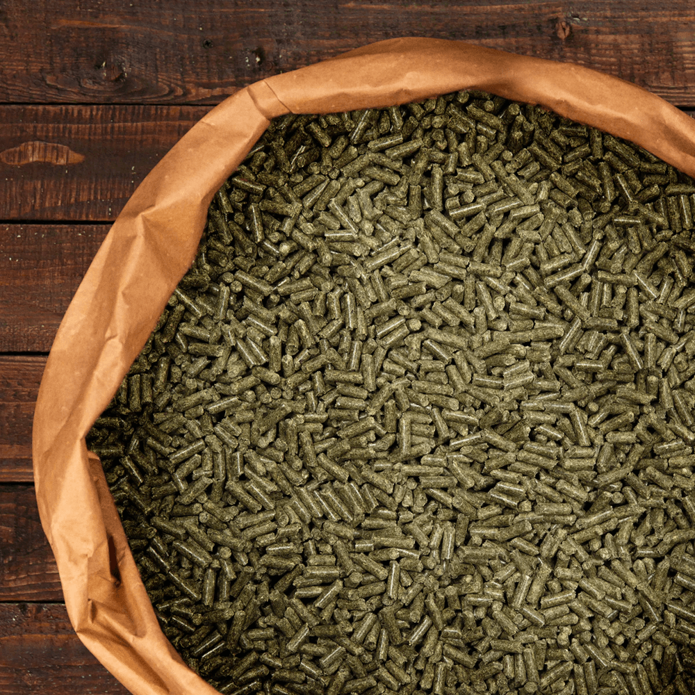 Deukavallo Top Gastro