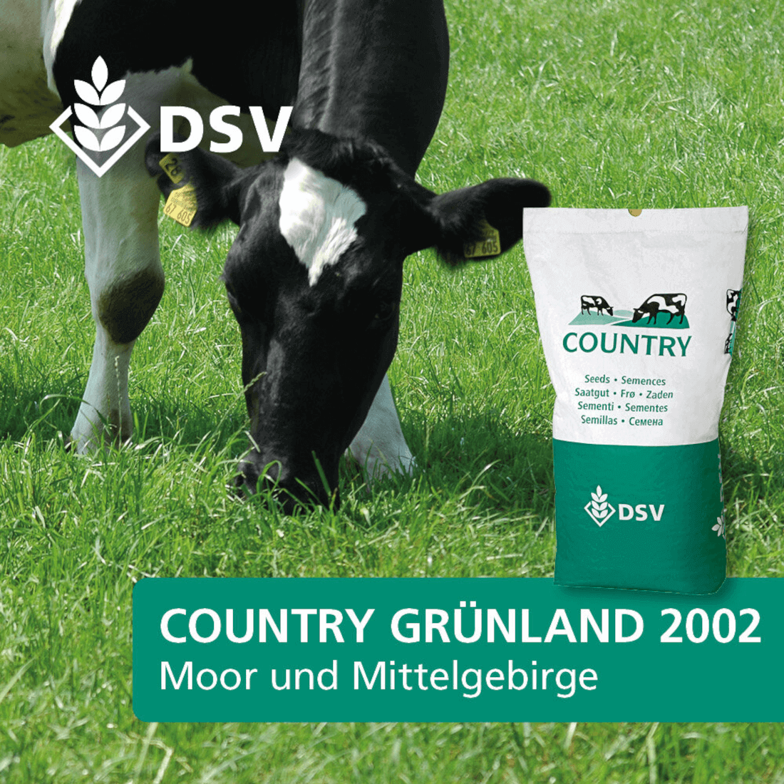 DSV COUNTRY Grünland 2002 Nachsaat Moor und Mittelgebirge
