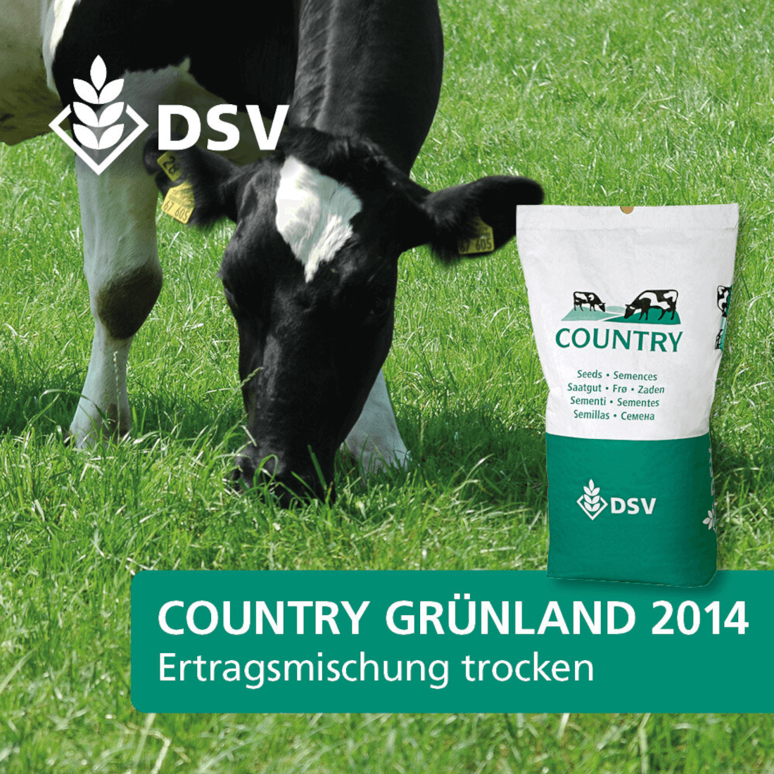 DSV COUNTRY Grünland 2014 Ertragsmischung trocken