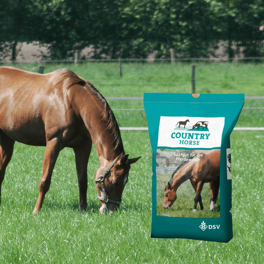 DSV COUNTRY Horse 2118 Nachsaat Pferdegreen