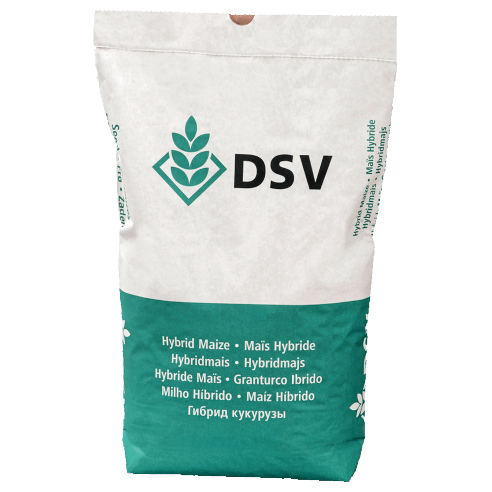 DSV Saatmais AKANTO