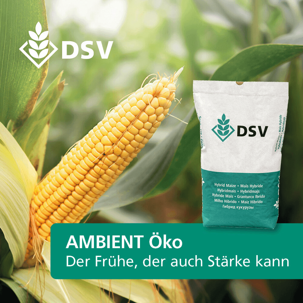 DSV Saatmais Silomais Körnermais AMBIENT ÖKO + E-b