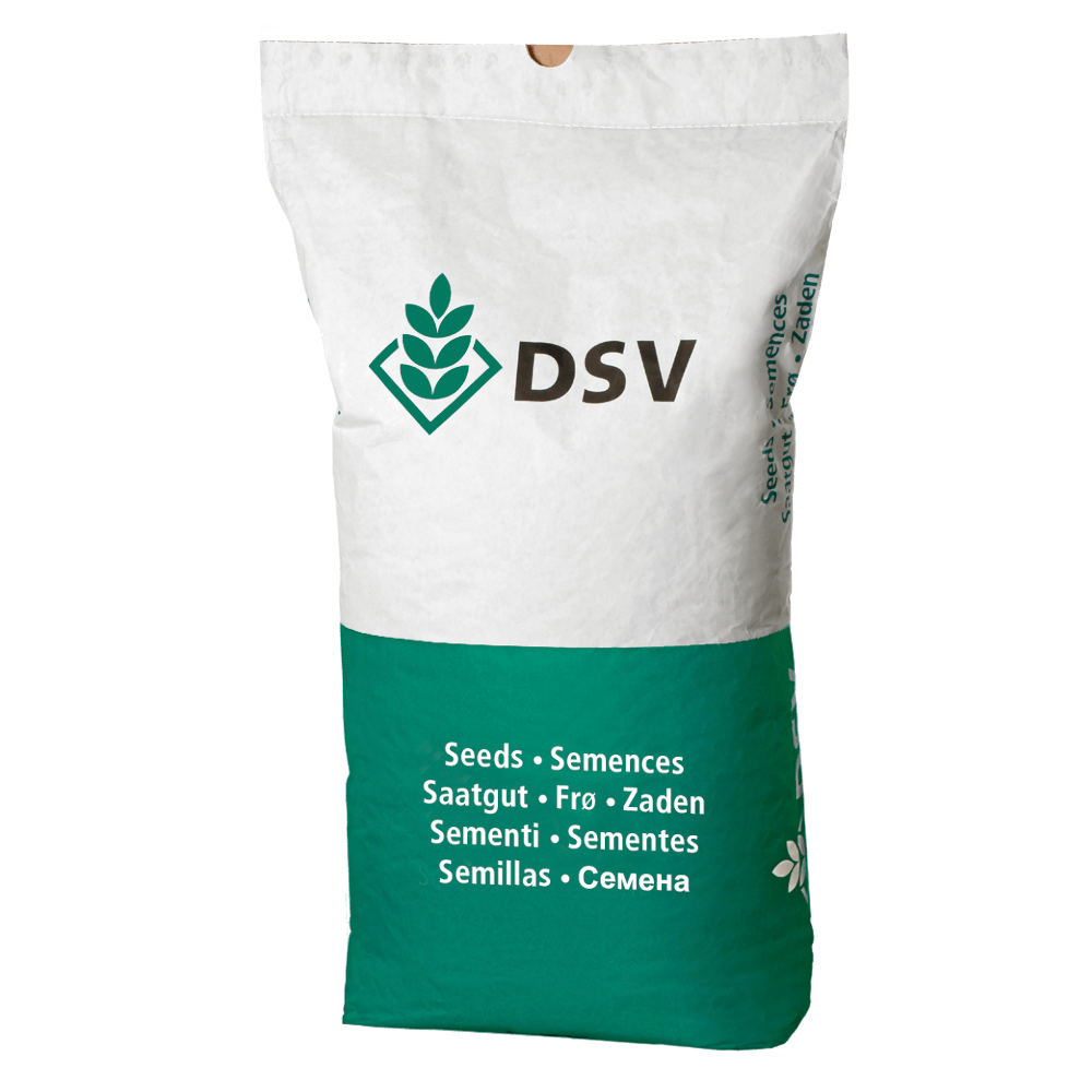 DSV Saatmais CLEMENTEEN