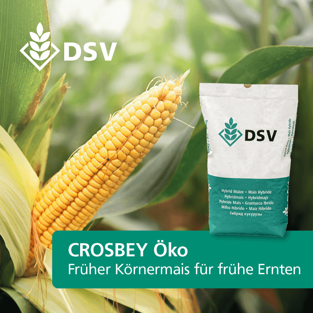 DSV Saatmais  CROSBEY ÖKO