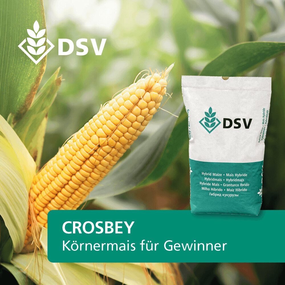 DSV Saatmais Silomais Körnermais CROSBEY