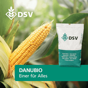 DSV Saatmais DANUBIO ÖKO