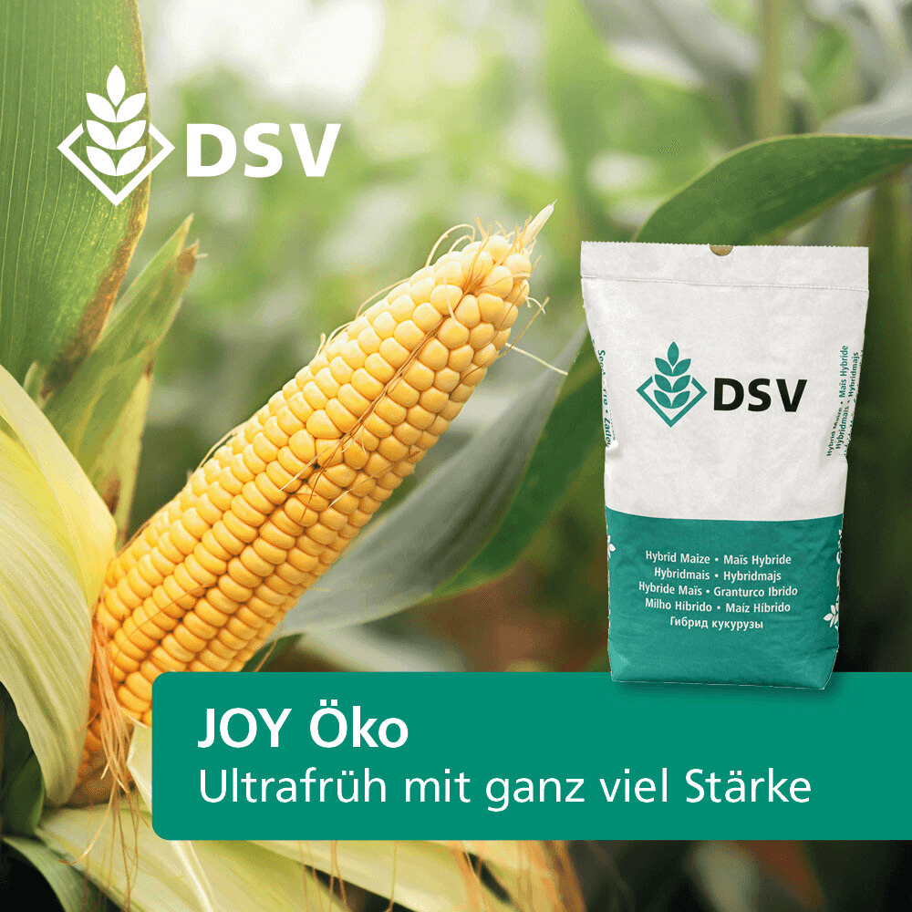 DSV Saatmais JOY ÖKO