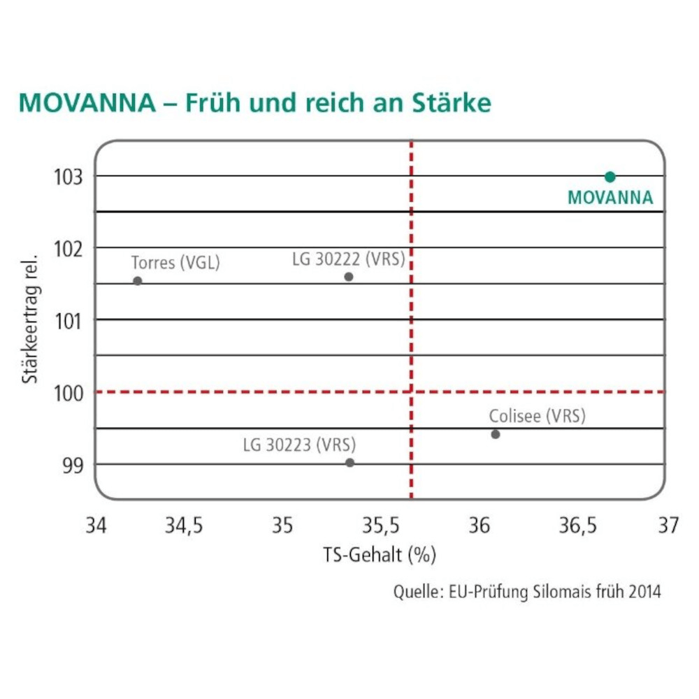 DSV Saatmais Silomais MOVANNA S 220 ca. K 210 ÖKO