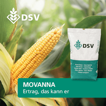 DSV Saatmais Silomais MOVANNA S 220 ca. K 210