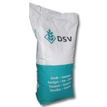 DSV Brandenburger Bienenweide