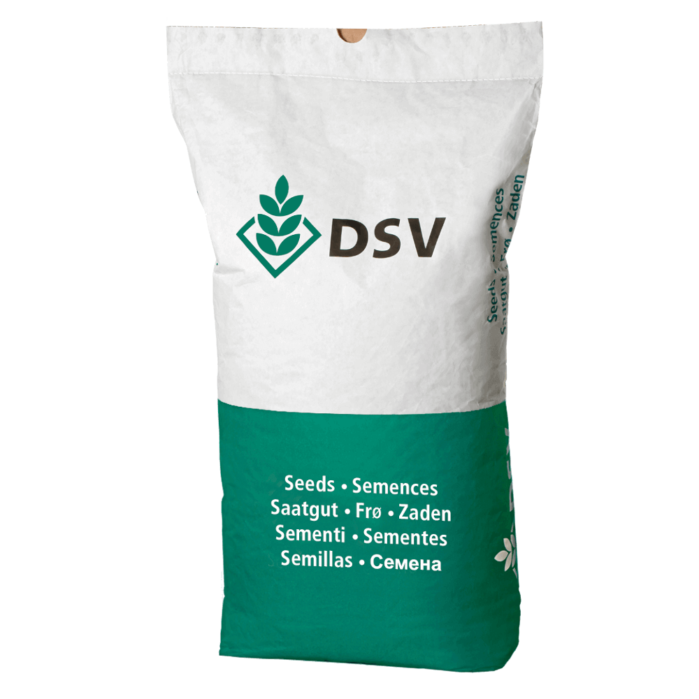 DSV Saatmais CLOONEY