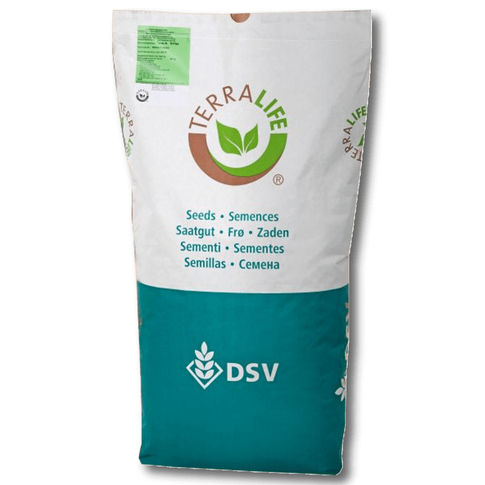 DSV TerraLife® BetaSola Zwischenfruchtmischung