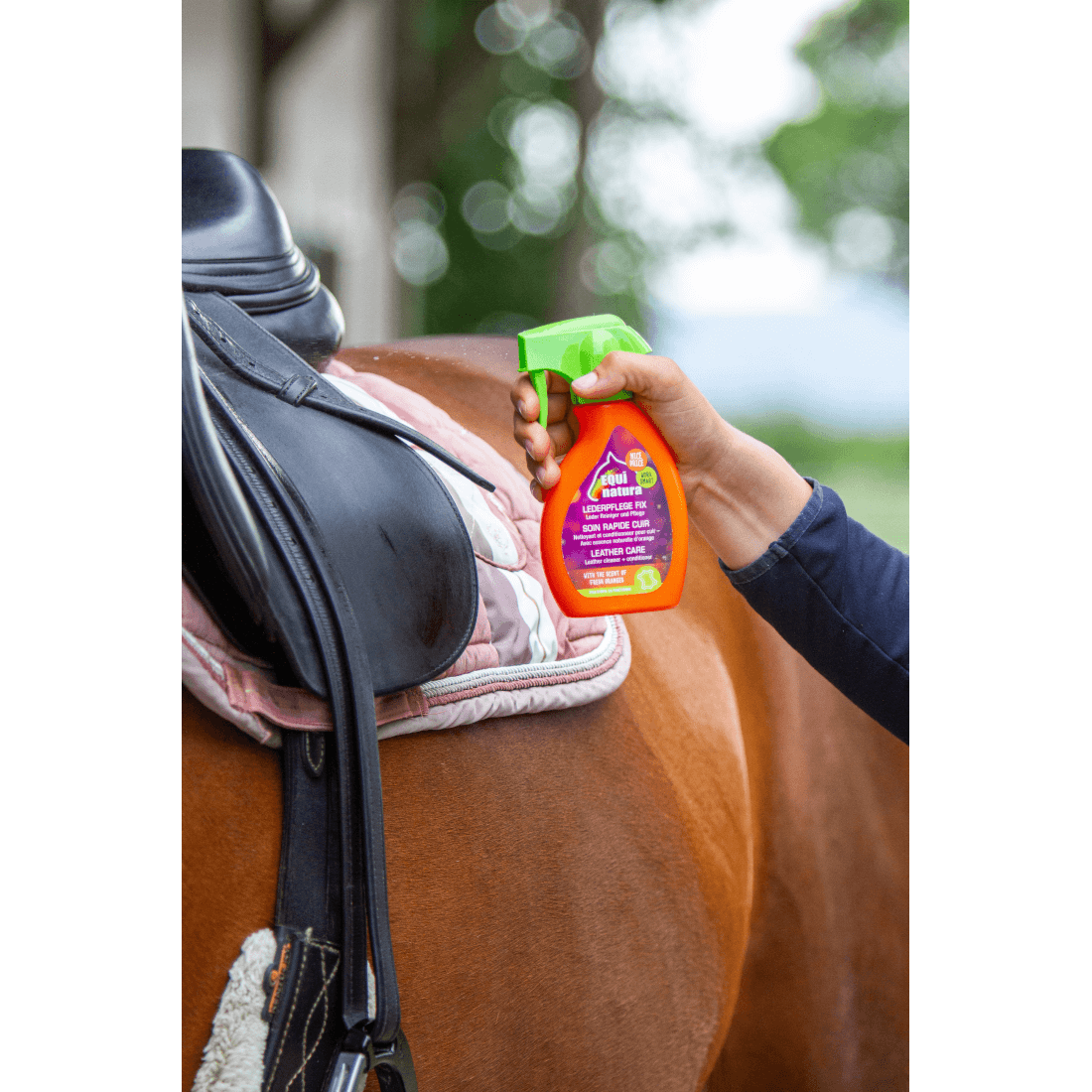 Equinatura Leder Pflegefix