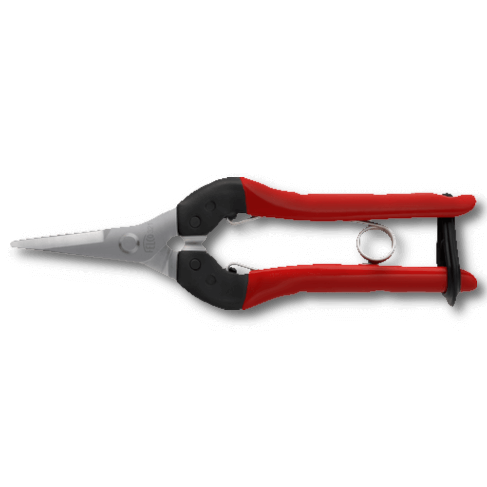 FELCO 321 Ernte- und Leseschere