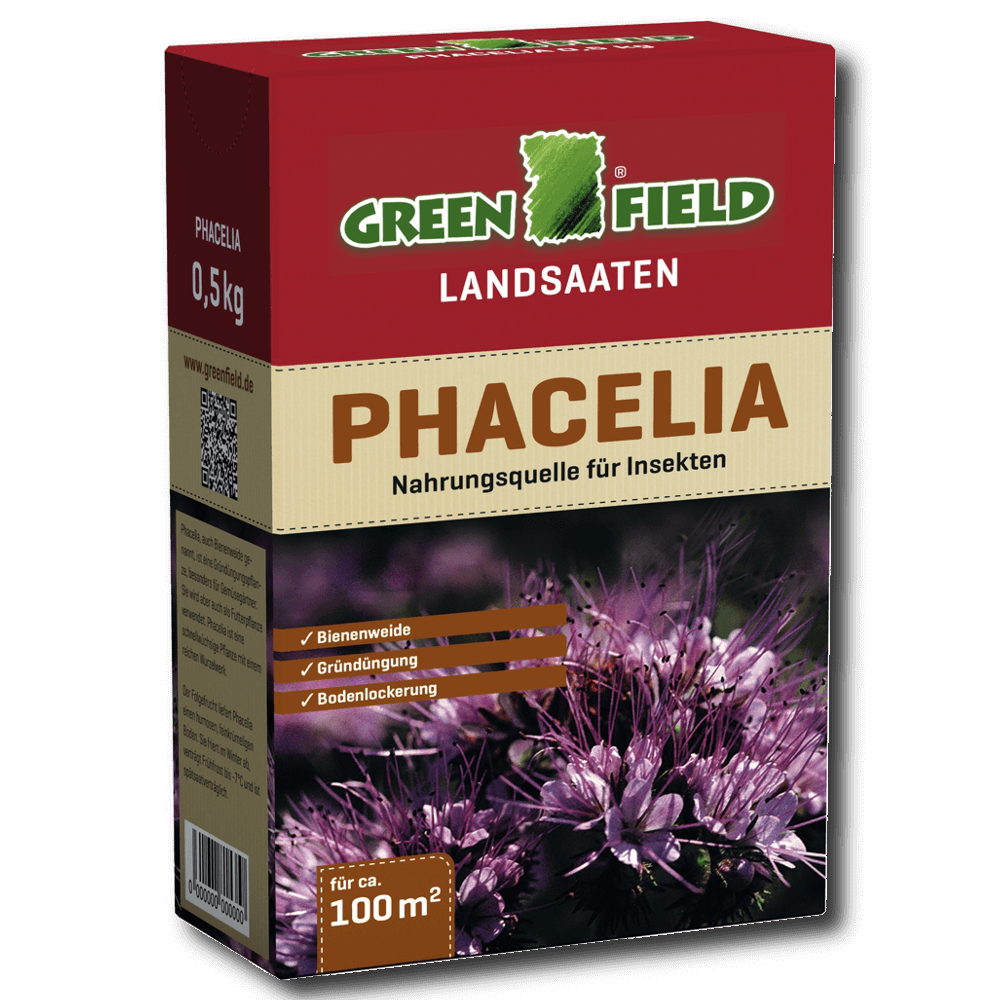 Greenfield Phacelia