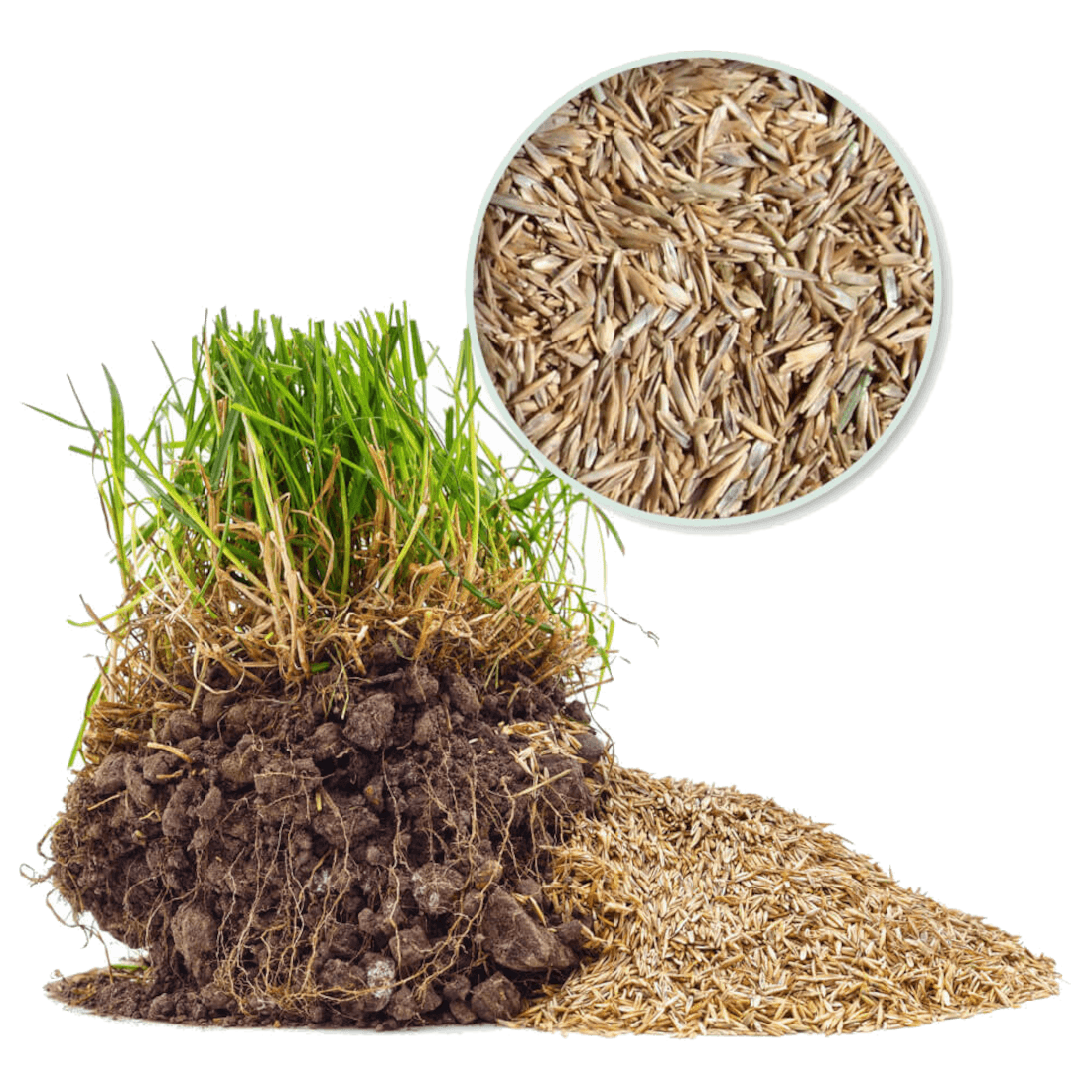 HACK PROFI Wintersaatgut Mix RSM 3.2